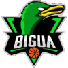 El Bigua W