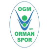 OGM Ormanspor