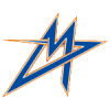 Vienna Metrostars