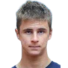 Ajdukovic D.